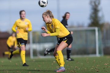 Bild 176 - F FSC Kaltenkirchen - SV Frisia 03 Risum-Lindholm : Ergebnis: 0:7